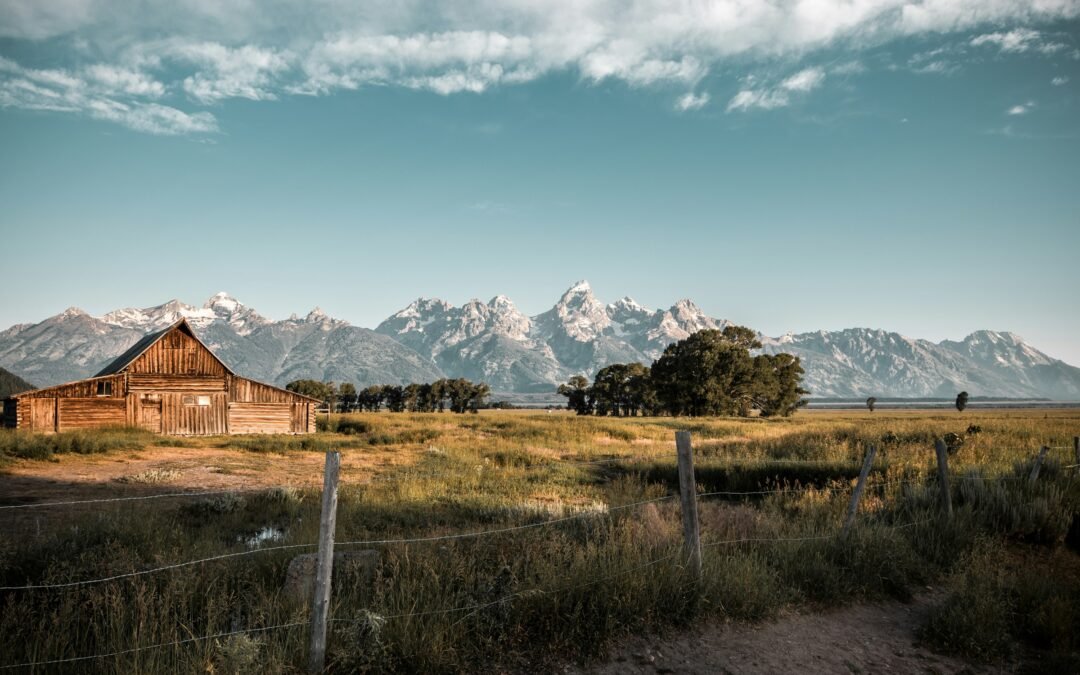 Powell’s Jackson Hole Commentary